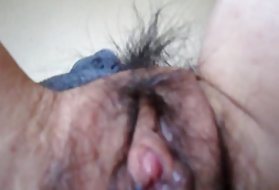 بدهی خانگی با گربه او متهم شده است