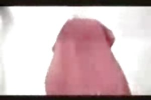 पाकिस्तानी