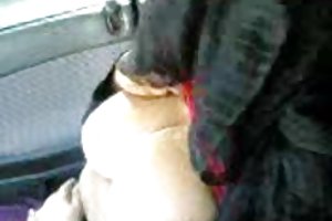 अरबी हिजाब लड़की ब्रा में बड़े स्तन दिखा अश्लील वीडियो के अंत में ऑनलाइन