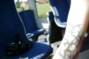 सार्वजनिक,,, एक ट्रेन में पागल खूनी खेल