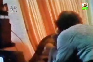 वेरा फिशर - यूरोपीय संघ ते एमो अश्लील वीडियो गायकों