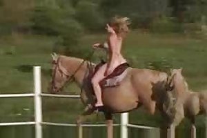 न्यडिस्ट मिनी अश्लील वीडियो