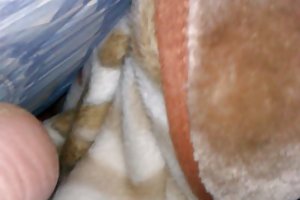 बहन पोर्न,