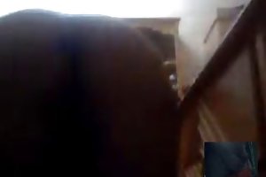 सऊदी अरब से घर का बना अश्लील के चित्रों रूसी लड़कियों