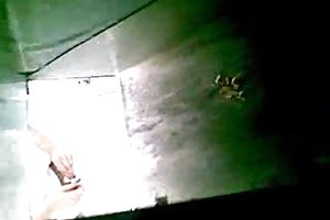 छिपे हुए कैमरे अश्लील 3 डी खेल खेलते हैं