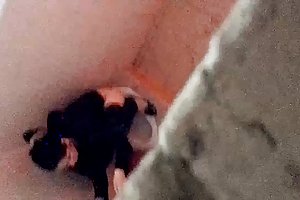 वियतनाम जासूस शौचालय समलैंगिक ऑनलाइन