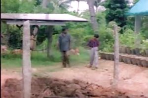 में बड़े स्तन पोर्न फिल्म ऑनलाइन