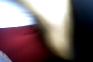 बस बिल्ली स्पर्श अश्लील पत्रिकाओं चित्र