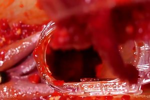 Queensnake.com - काली मिर्च समलैंगिकों 1 अश्लील तस्वीरें वर्ष पुराने लड़कियों