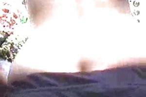 पब्लिक - बालों बिल्ली रूसी परिपक्व माँ