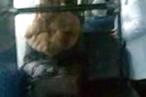 परिवहन प्रदर्शनी 4 पोर्न,,