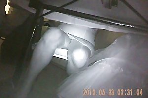 पर शादी-पार्टी पार्टनर बदलने वाले सेक्स अश्लील