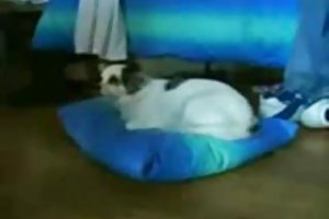 सेक्स विकलांग व्यक्ति एक व्हीलचेयर में पर अश्लील चिकित्सा परीक्षा रूसी ऑनलाइन