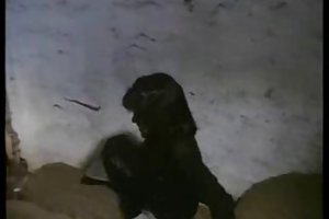 सेक्स कॉमेडी विंटेज जर्मन लड़की kumpel 2 घड़ी रूसी गुदा अश्लील वीडियो