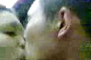 मलय, वीडियो अश्लील योनि