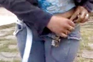 मैक्सिकन, देखो खरा रूसी