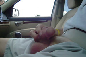 Intrigued सहयात्री सेक्स 3 डी